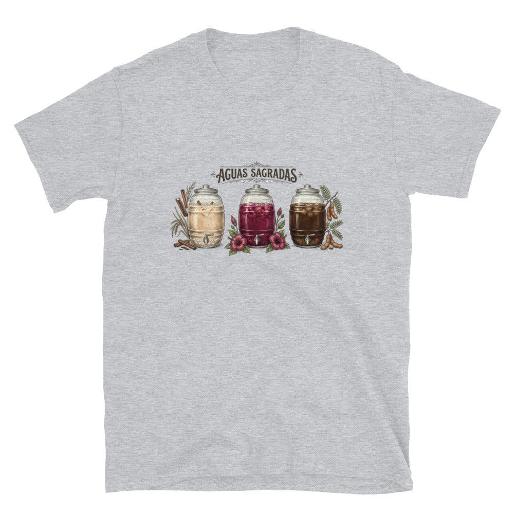 Aguas Sagradas Tee - horchata, jamaica, and tamarindo dispensers design